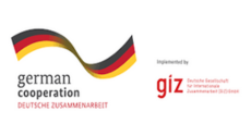 giz logo